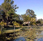 Twin Lakes Hotel - Inverell Accommodation