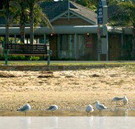 Best Western Coastal Waters Motor Inn - Inverell Accommodation