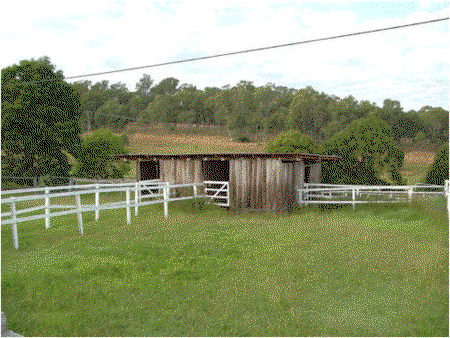 Jacaranda Motor Lodge - Inverell Accommodation 1