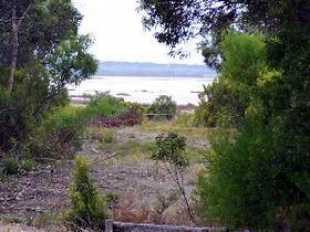 Lake Saint Clair Nature Retreat - Inverell Accommodation 0