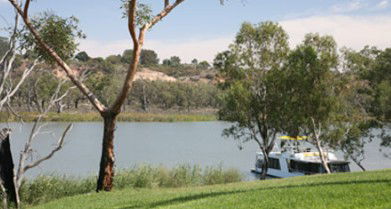 Toolunka Estate Cottage - Inverell Accommodation 4