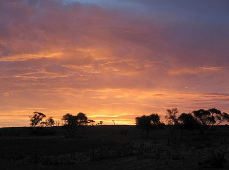 Willangi Bush Escapes - Inverell Accommodation 1