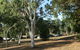Mount Bundy Station - thumb 4