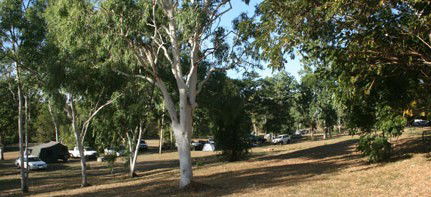 Mount Bundy Station - Inverell Accommodation 4