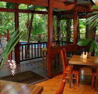 Daintree Wilderness Lodge - Inverell Accommodation