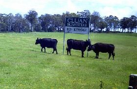 Cluan Homestead - The Managers Residence - Inverell Accommodation 0