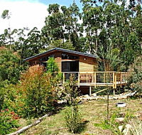 Southern Forest Accommodation - Inverell Accommodation