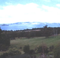 Waterview Gardens - Inverell Accommodation