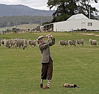 Park House Accommodation - Inverell Accommodation