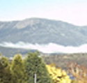 Lindisfarne Motor Inn - Inverell Accommodation