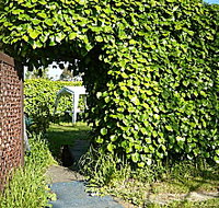 Kirra Guest House - Inverell Accommodation