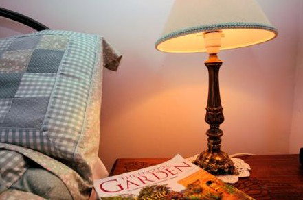 Wilmot Arms Inn - Inverell Accommodation 4