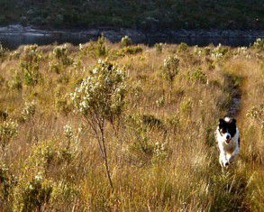 Highland Caravan Park - Inverell Accommodation 1