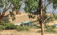 Hamilton Heritage Holiday Homes - Bonnie Brae Lodge - thumb 1
