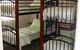 Hamilton Heritage Holiday Homes - Bonnie Brae Lodge - thumb 4
