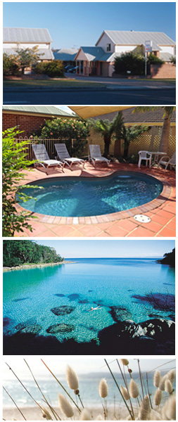 Dolphin Shores Motor Inn - Inverell Accommodation 1