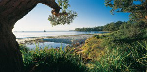 Dolphin Shores Motor Inn - Inverell Accommodation 2