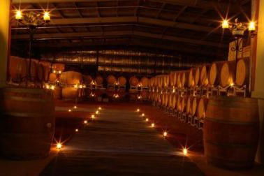 Warrenmang Vineyard & Resort - Inverell Accommodation 5