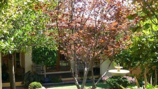 Berrambool NSW Inverell Accommodation