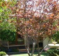 Akame - Inverell Accommodation