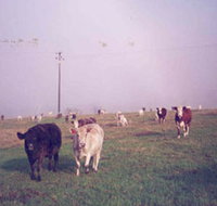 Seeview Farmstay - Inverell Accommodation
