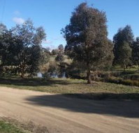 Delegate Caravan Park - Inverell Accommodation