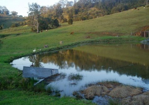Barkeldine Farm Country Retreat - Inverell Accommodation 0