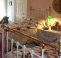 A Winter-Rose Cottage Bed and Breakfast - Inverell Accommodation