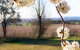 Cherry Lane Cottage - thumb 1