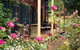 Buddens B And B Guesthouse And Tearoom - thumb 5