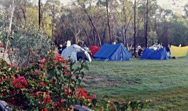 Possum Park - Inverell Accommodation 1