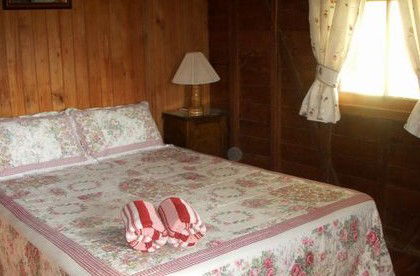 Bunyip Springs Farmstay - Inverell Accommodation 2