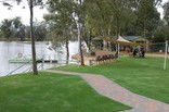 Riverside Holiday Park Blanchetown - Inverell Accommodation 3