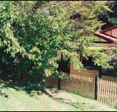 Apple Tree Cottage - Inverell Accommodation
