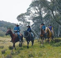 Pender Lea - Inverell Accommodation