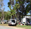 Elliston Caravan Park - Inverell Accommodation