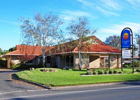 Comfort Inn Silver Birch - Inverell Accommodation 0
