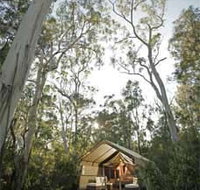 Paperbark Camp - Inverell Accommodation