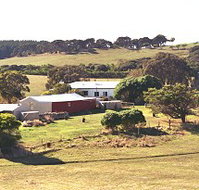 Sun Valley Eco Farm - Inverell Accommodation
