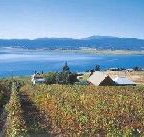 Marions Vineyard  - Inverell Accommodation