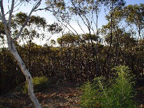 Townsendale ACT Inverell Accommodation
