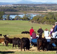 Bonny Brae - Inverell Accommodation