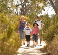 Pepper Tree Cottage - Inverell Accommodation