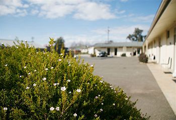 Merivale Motel - Inverell Accommodation 1