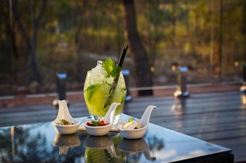 Cicada Lodge - Inverell Accommodation 7