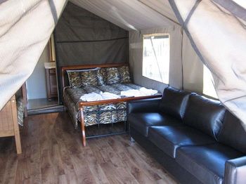 Discovery Parks - Dubbo - Inverell Accommodation 51