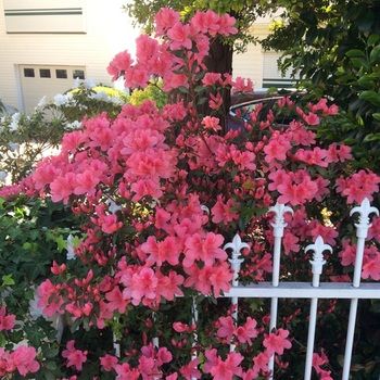 North Ryde Guest House - Inverell Accommodation 31