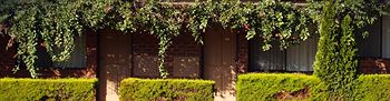 Nunawading Motor Inn - Inverell Accommodation 30