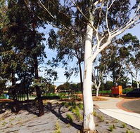 Box Hill Studios at Canterbury Gardens - Inverell Accommodation