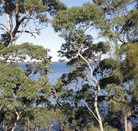 The Edgewater Bed amp Breakfast - Inverell Accommodation